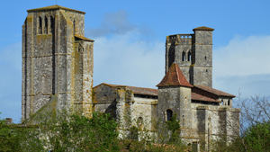 Vétérinaire de garde Saint-Pierre